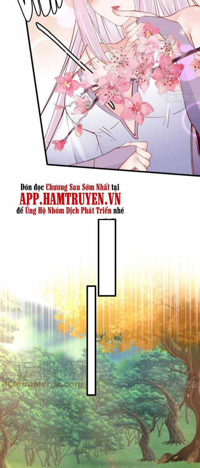 Tu Tiên Phải Dựa Vào Sugar Mommy Chương 104 trang 31