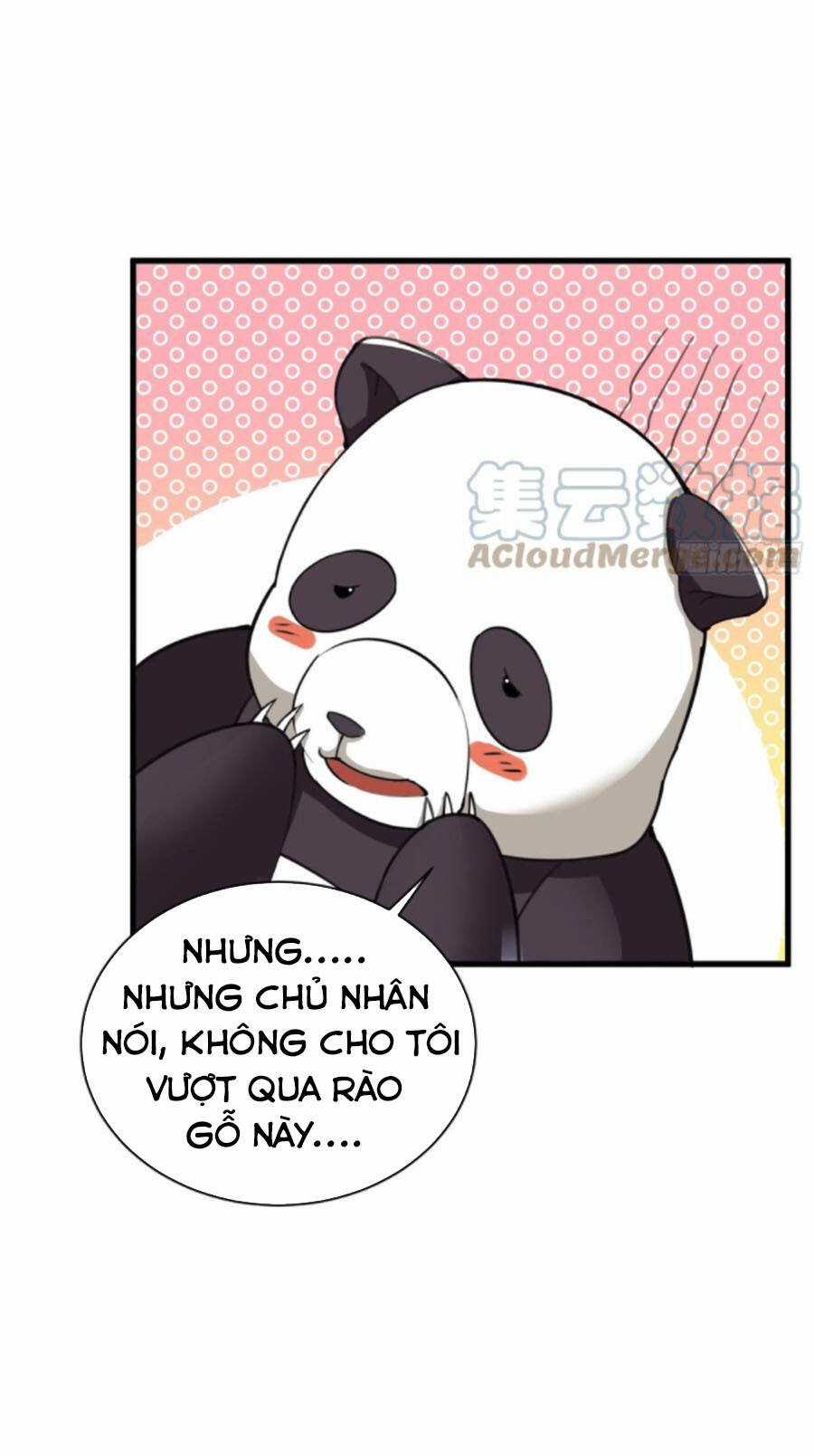 Tu Tiên Phải Dựa Vào Sugar Mommy Chương 63 trang 10