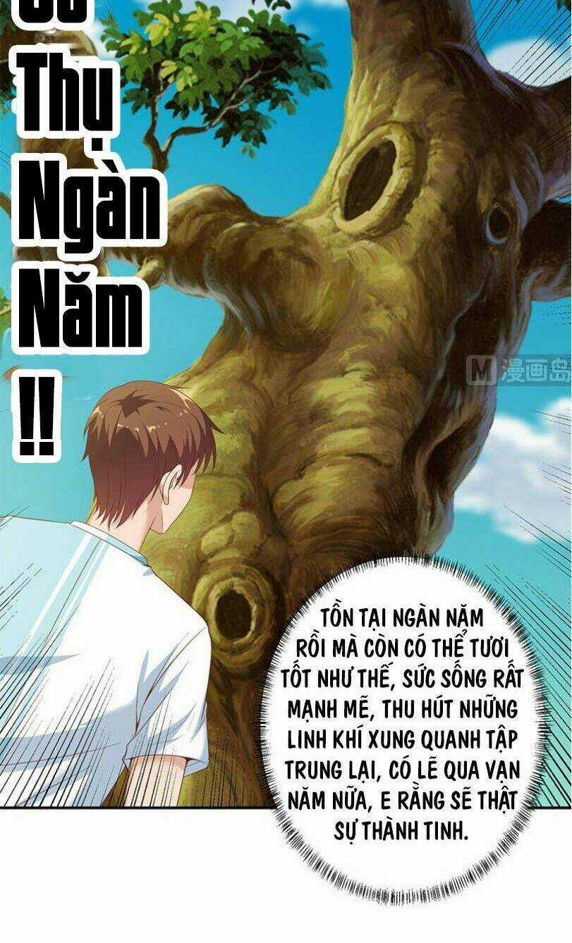 Tu Tiên Trở Về Tại Vườn Trường Chapter 11 trang 4