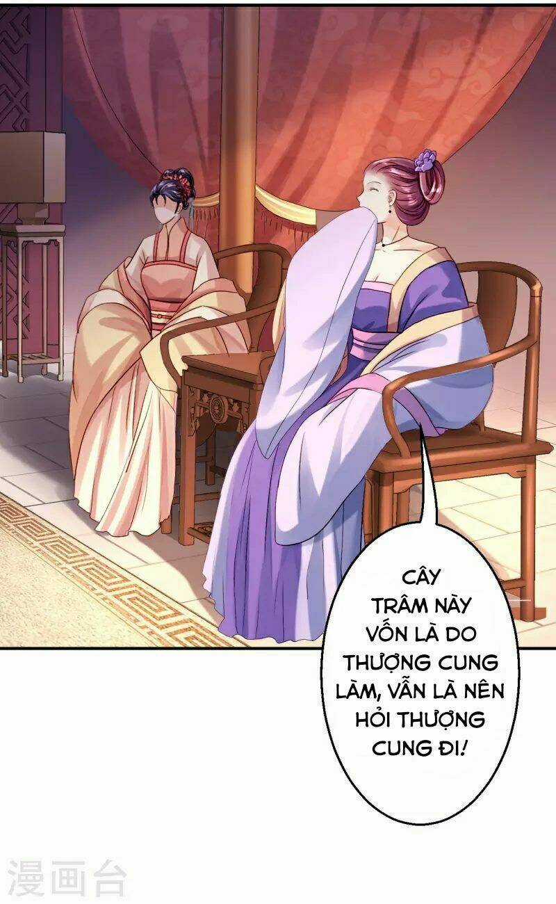 Từng Bước Âm Mưu Thâm Độc : Huyết Hoàng Trở Về Chapter 10 trang 5