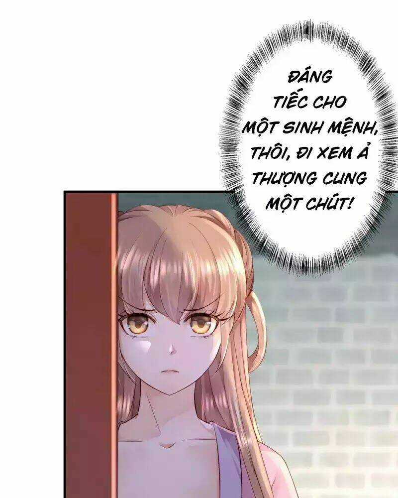 Từng Bước Âm Mưu Thâm Độc : Huyết Hoàng Trở Về Chapter 12 trang 68