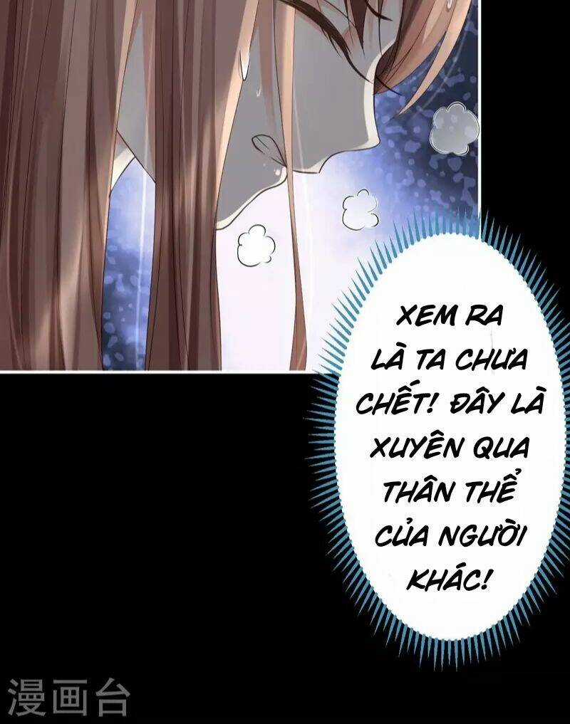 Từng Bước Âm Mưu Thâm Độc : Huyết Hoàng Trở Về Chapter 2 trang 10
