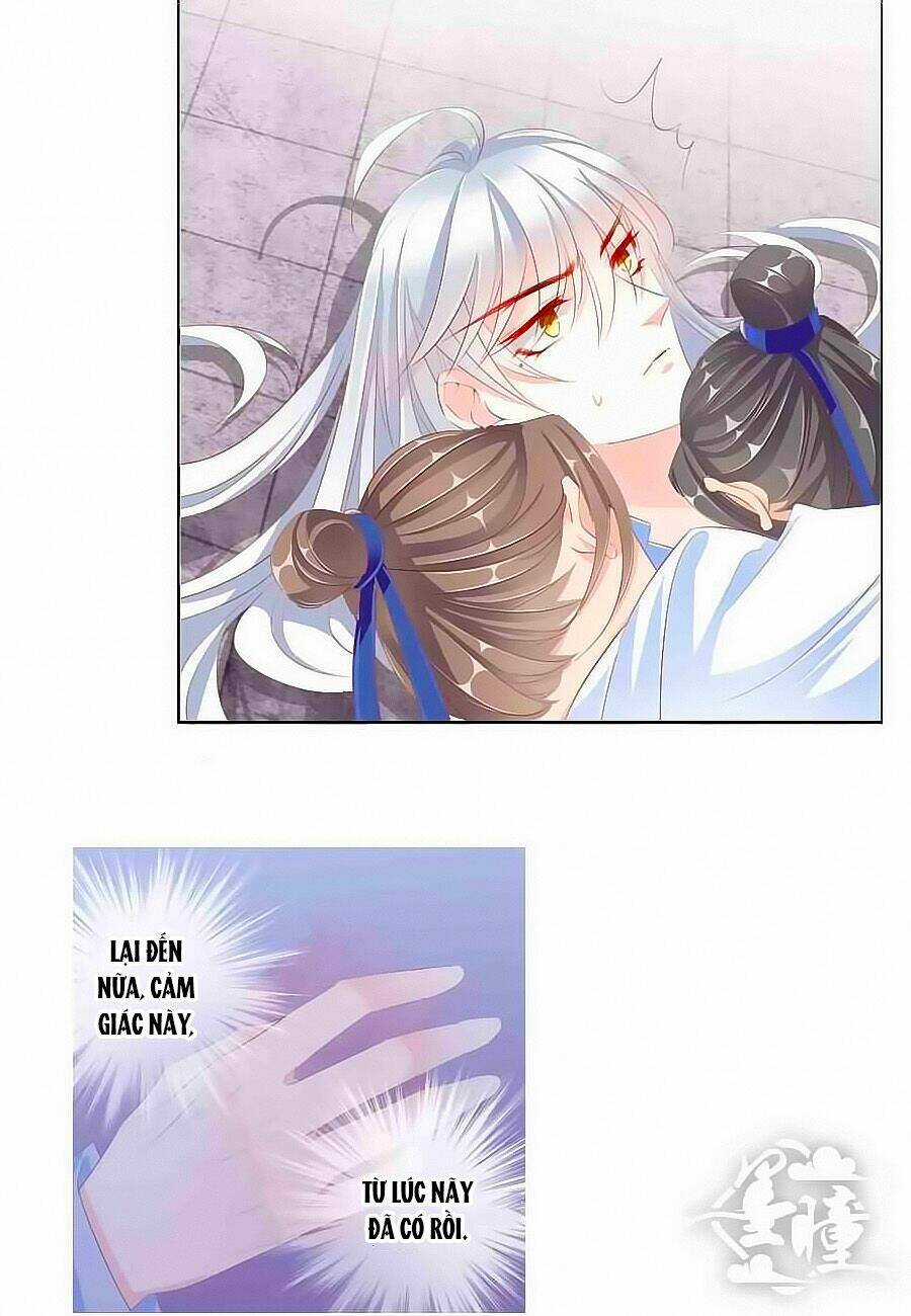 Tưởng Nhập Phi Phi Chapter 21 trang 13