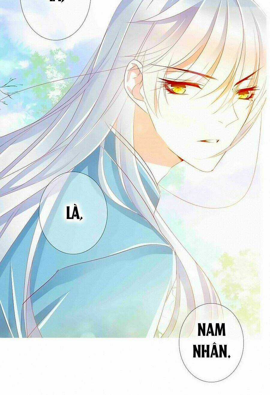 Tưởng Nhập Phi Phi Chapter 30 trang 12