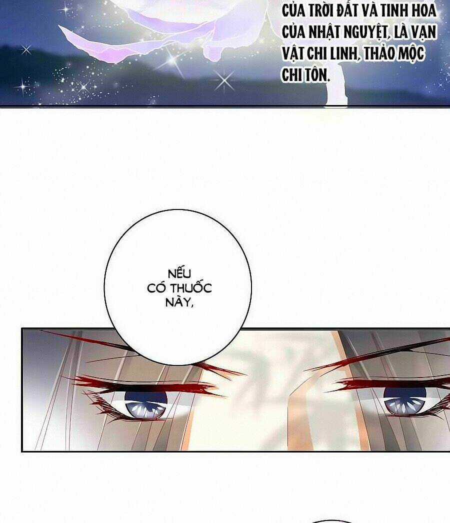 Tưởng Nhập Phi Phi Chapter 32 trang 21