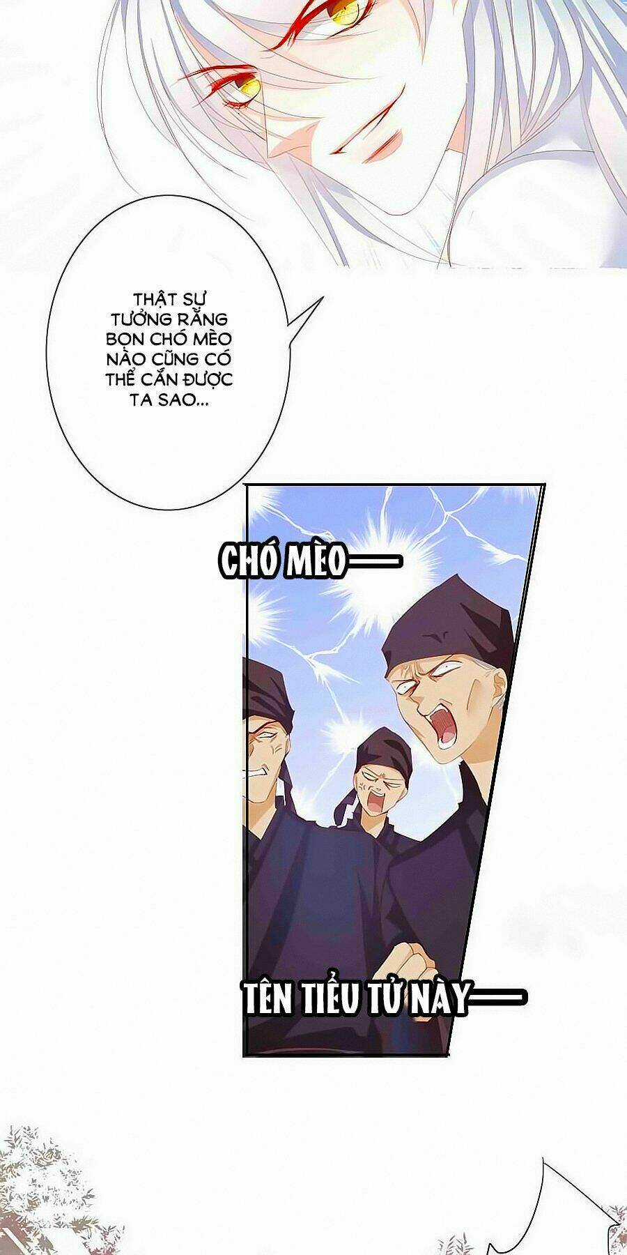 Tưởng Nhập Phi Phi Chapter 49 trang 4