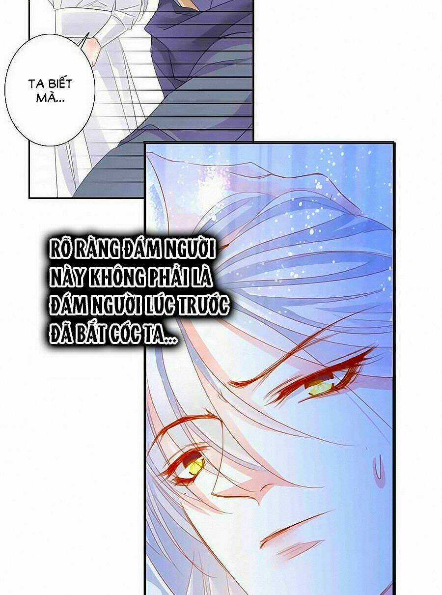 Tưởng Nhập Phi Phi Chapter 50 trang 3