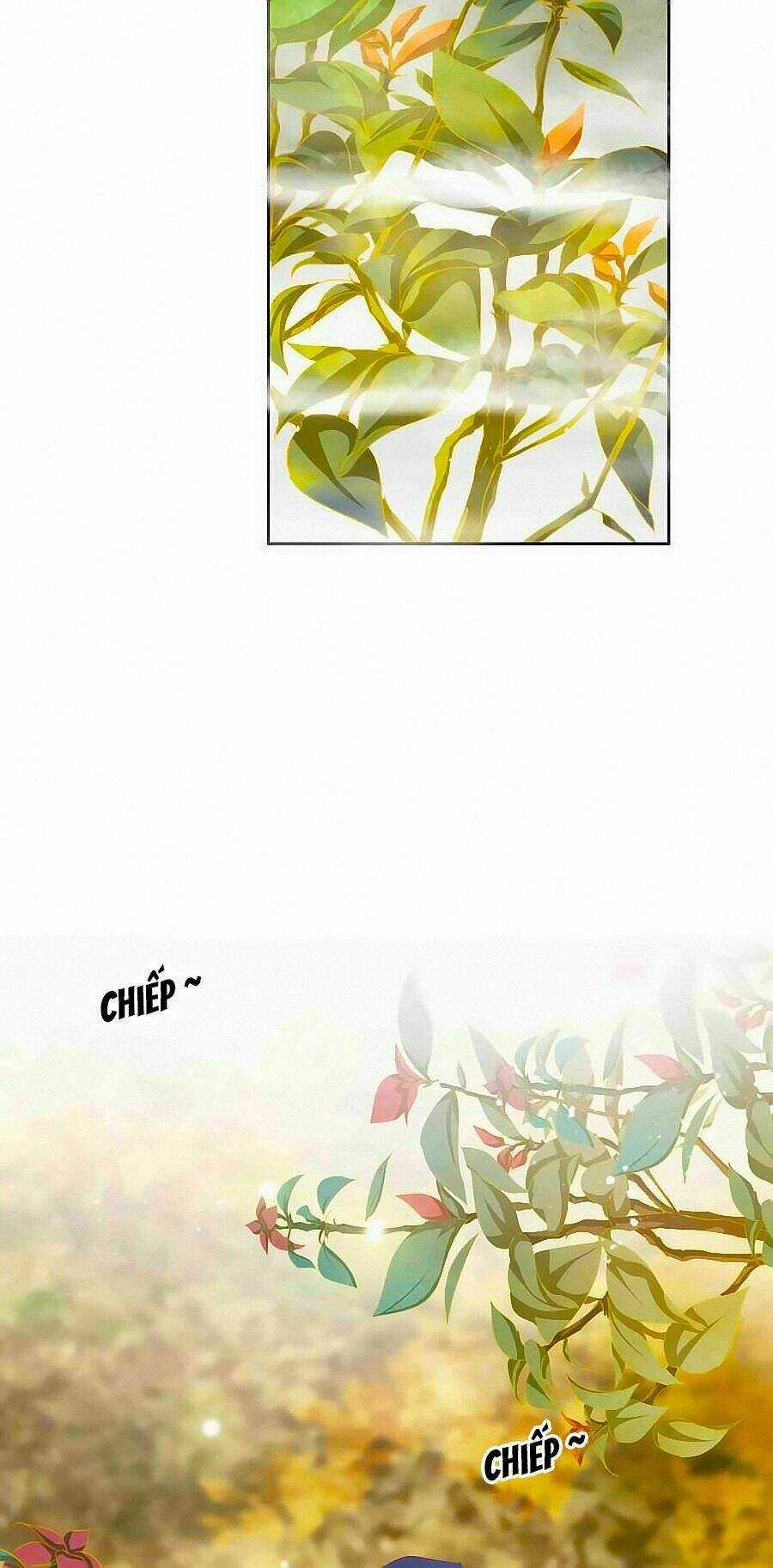 Tưởng Nhập Phi Phi Chapter 52 trang 24