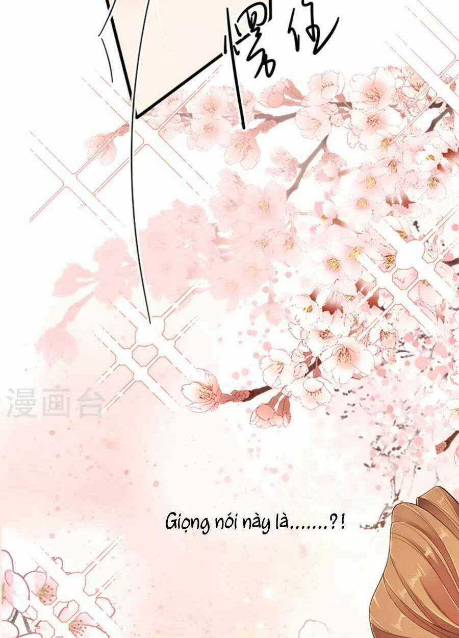 Tướng Quân, Bổn Phi Không Nhận Sủng Chapter 37 trang 54
