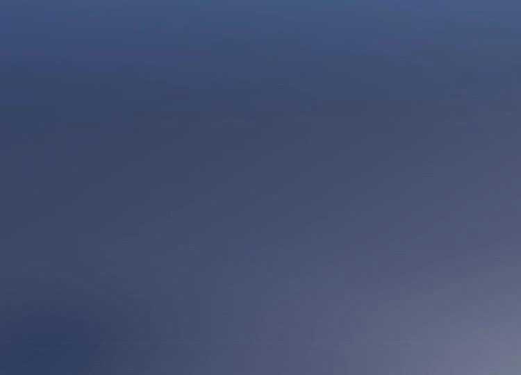 Tướng Quân! Coi Chừng Chó Dại! Chapter 1 trang 47