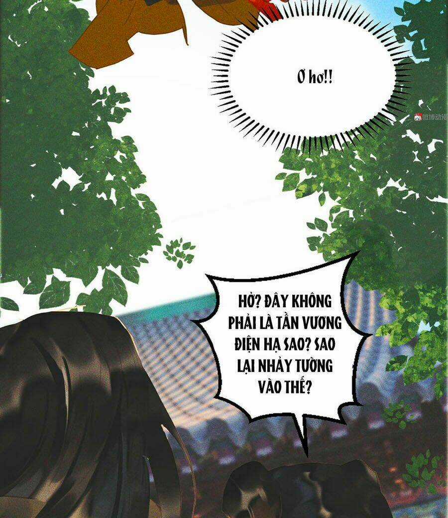 Tướng Quân Mời Lên Giường Chapter 13 trang 11