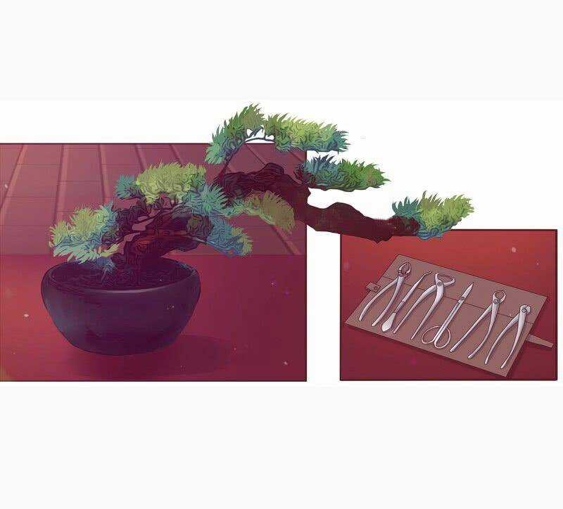 Tướng Quân Mời Ra Trận Chapter 1 trang 6