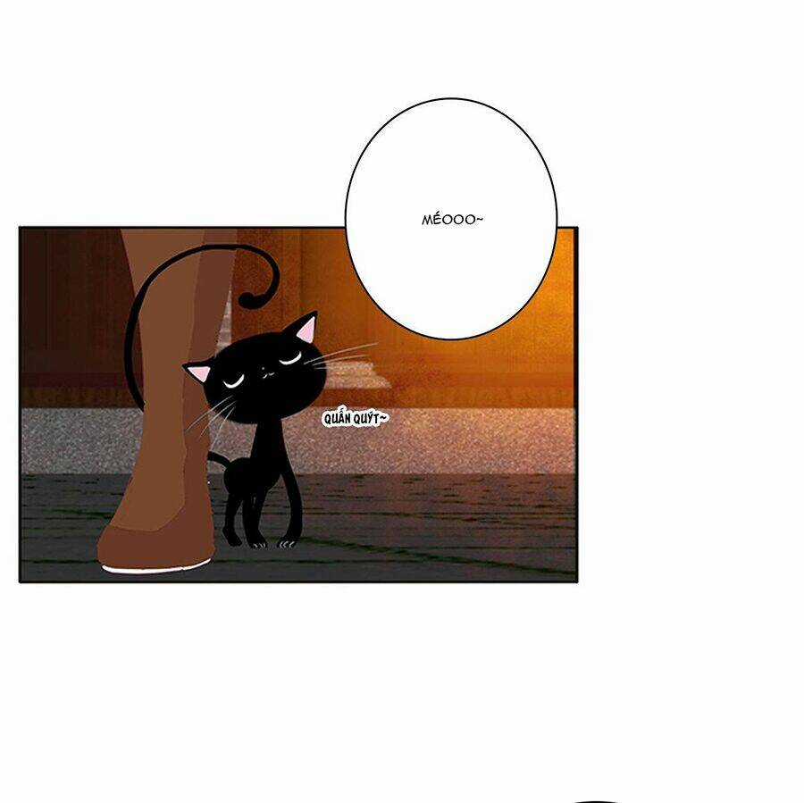 Tướng Quân Mời Ra Trận Chapter 157 trang 13