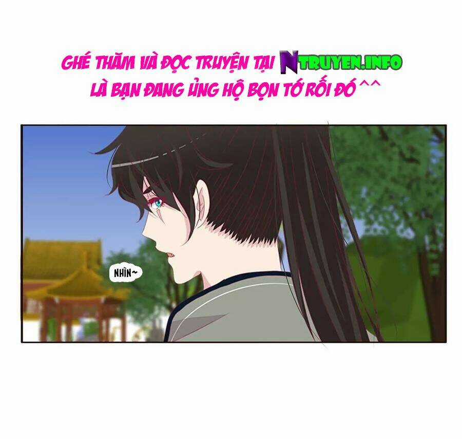 Tướng Quân Mời Ra Trận Chapter 184 trang 19