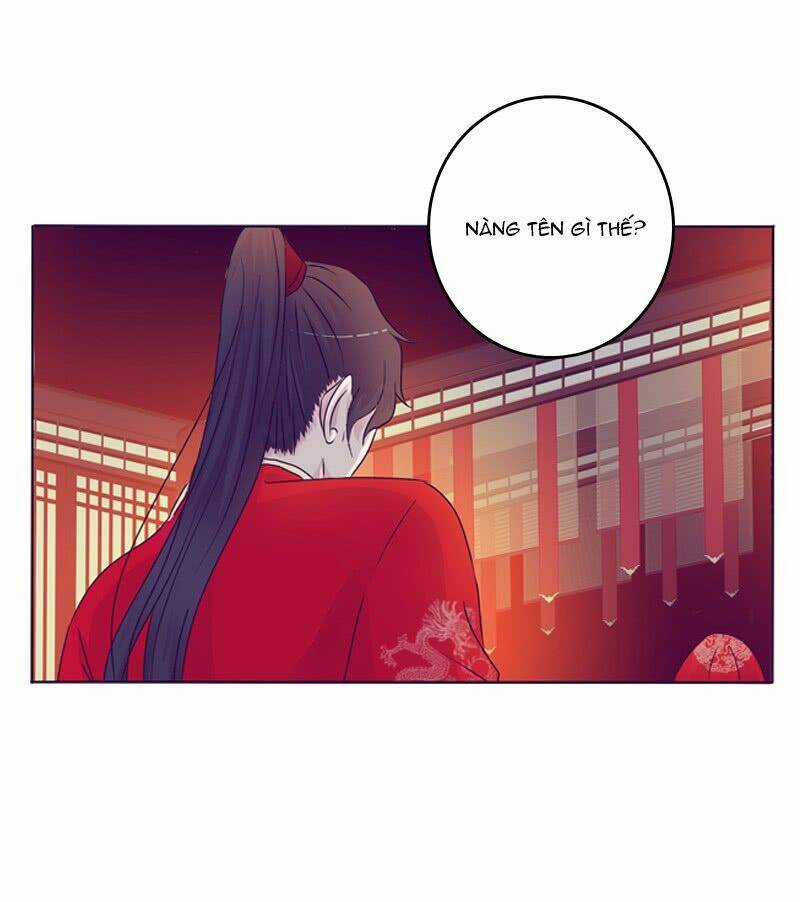 Tướng Quân Mời Ra Trận Chapter 3 trang 19