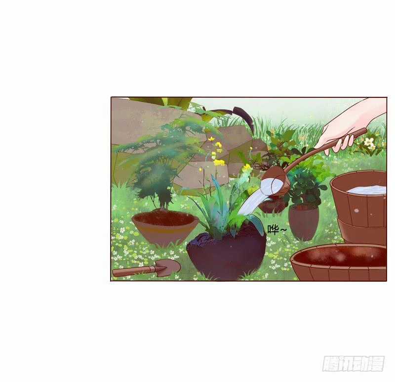 Tướng Quân Xin Xuất Chinh Chapter 2 trang 7