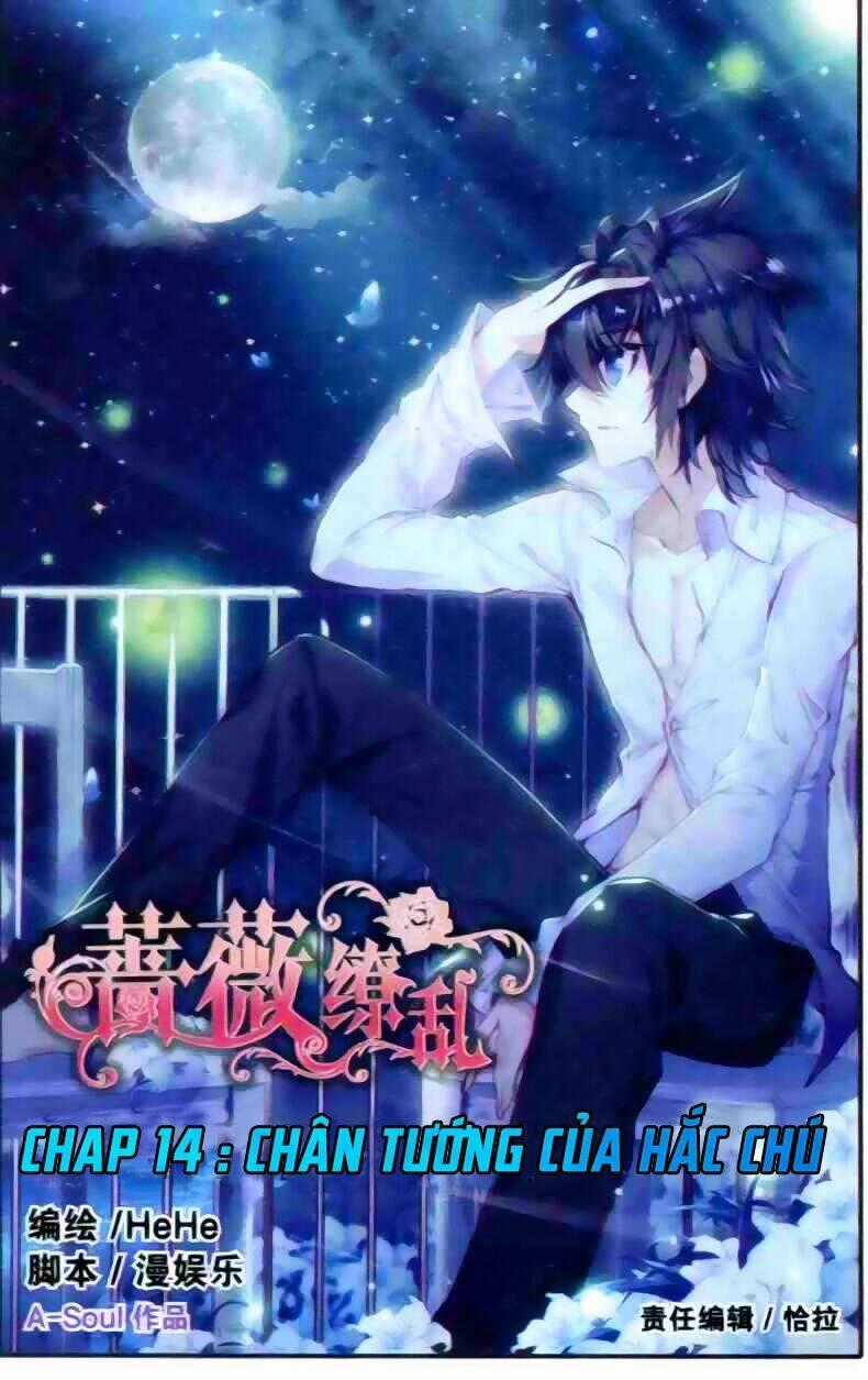 Tường Vi Quấn Loạn Chapter 14 trang 1