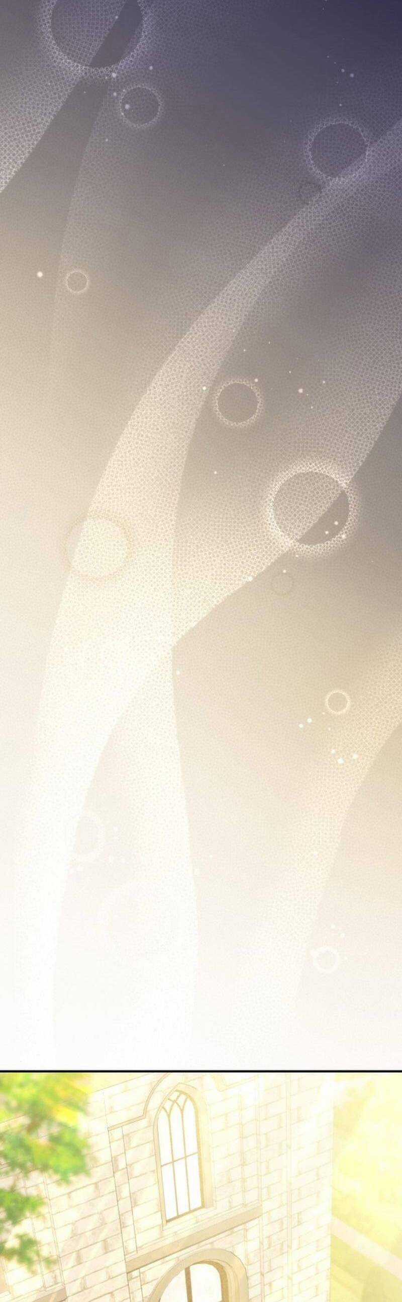 Tuy Là Hoàng Hậu, Nhưng Tôi Muốn Né Hoàng Đế Chương 60 trang 22