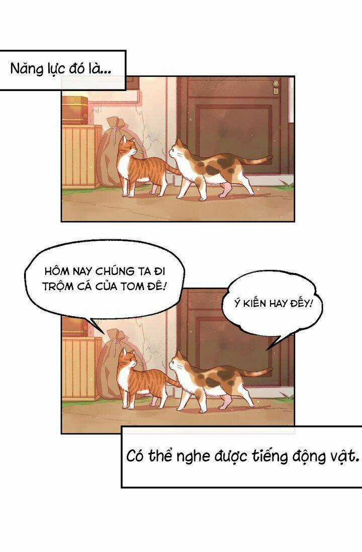 Tuyển Tập Prologue Hàn Chapter 13 trang 6