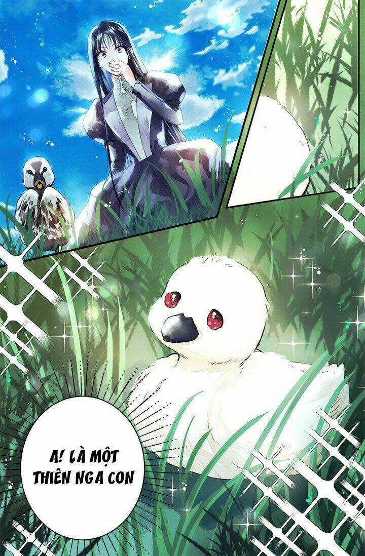 Tuyển Tập Prologue Hàn Chapter 16 trang 19