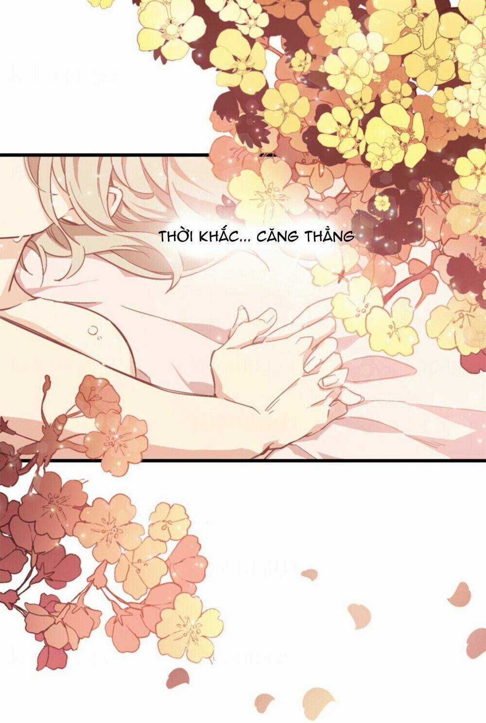 Tuyển Tập Prologue Hàn Chapter 2 trang 13