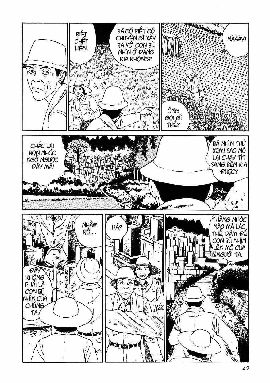 Tuyển Tập Truyện Ngắn Kinh Dị Của Ito Junji Chapter 18 trang 10