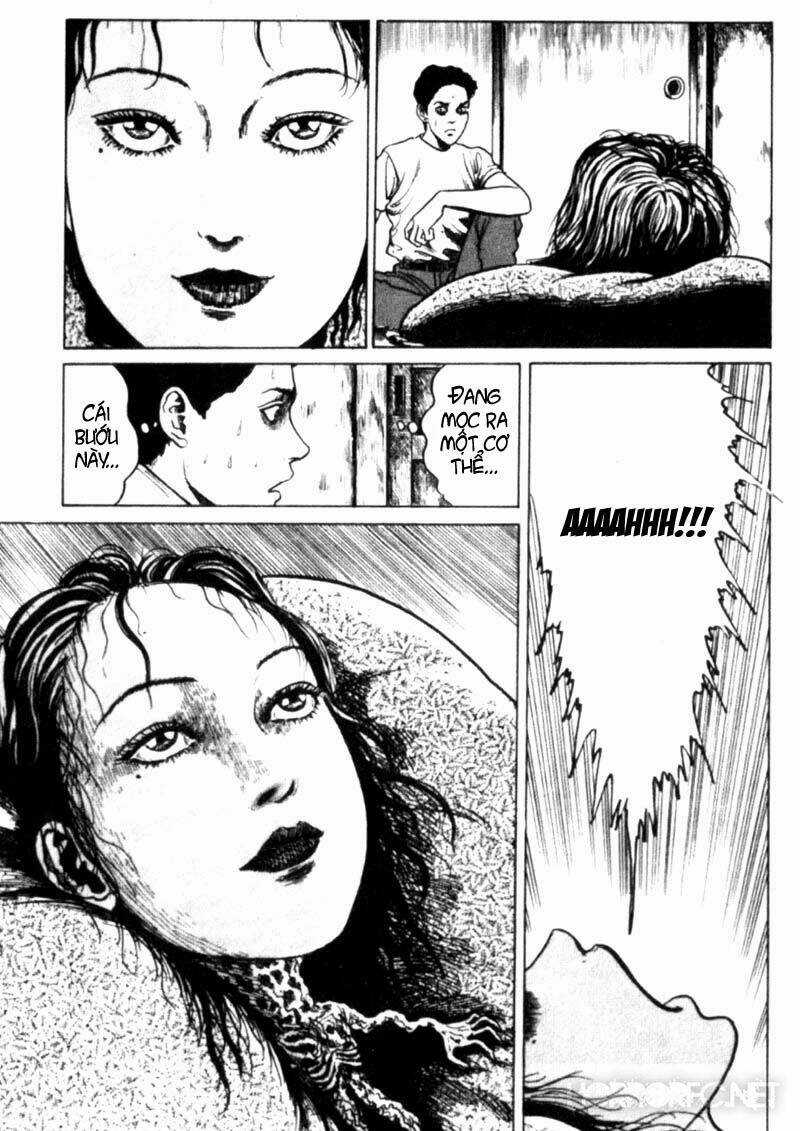 Tuyển Tập Truyện Ngắn Kinh Dị Của Ito Junji Chapter 2.4 trang 20