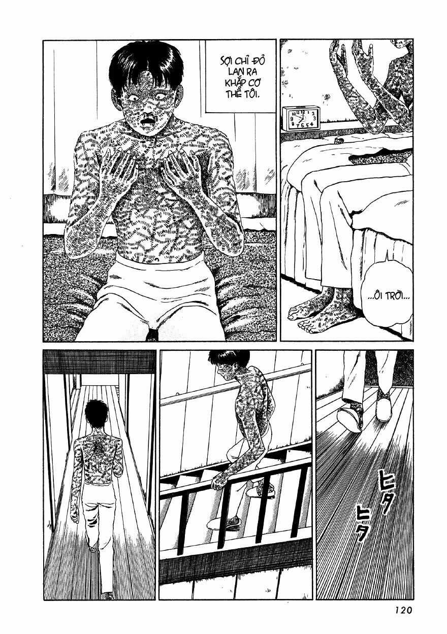 Tuyển Tập Truyện Ngắn Kinh Dị Của Ito Junji Chapter 20 trang 24