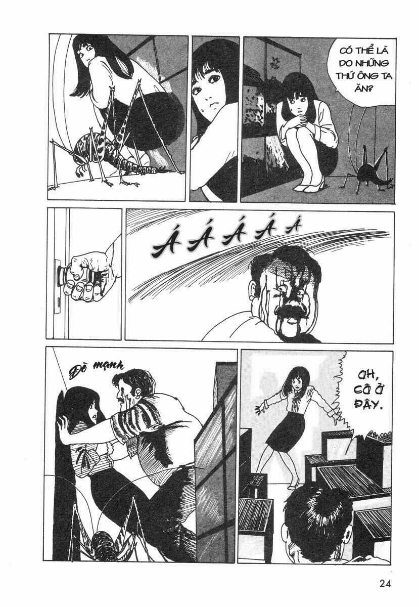 Tuyển Tập Truyện Ngắn Kinh Dị Của Ito Junji Chapter 23 trang 18