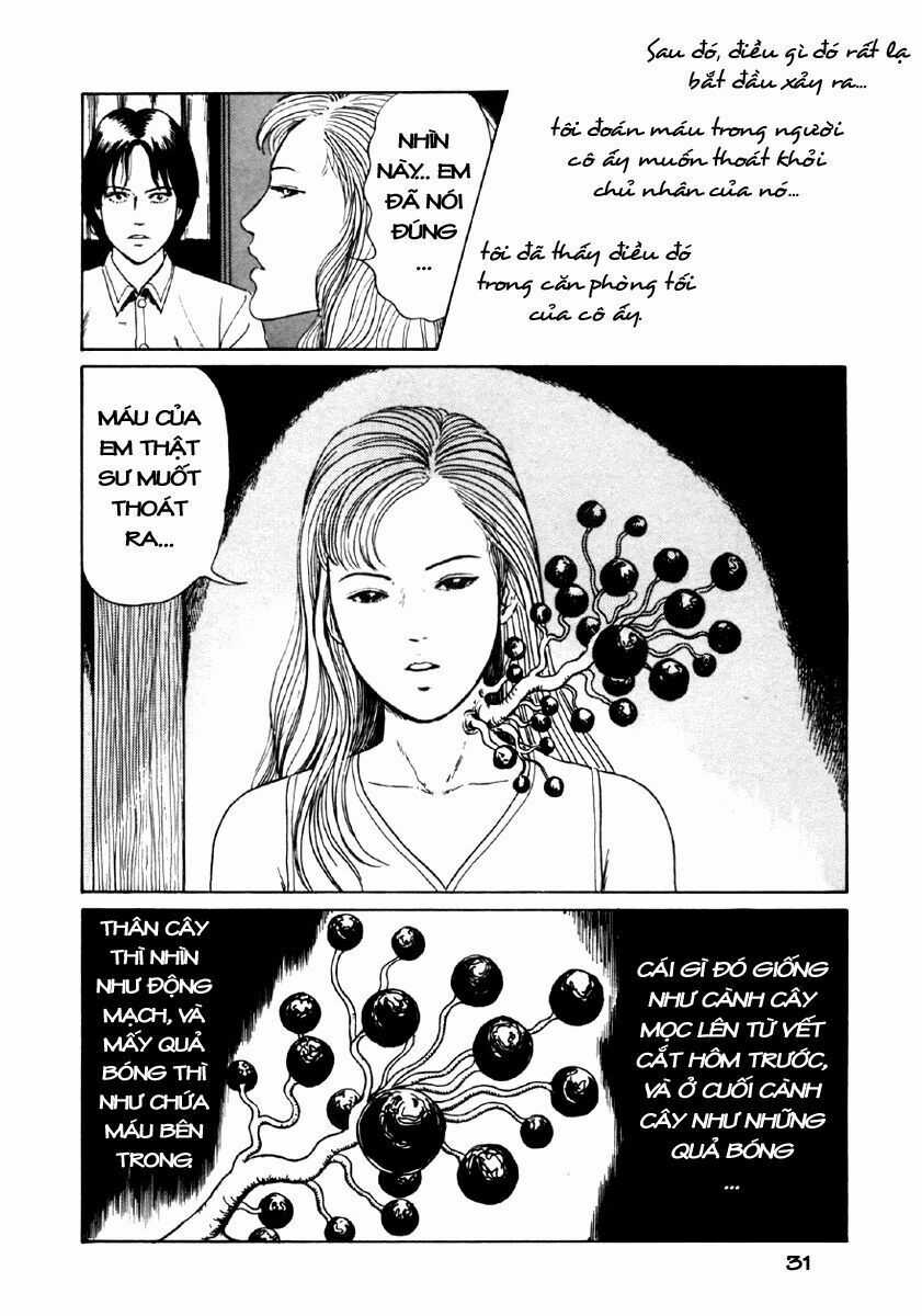 Tuyển Tập Truyện Ngắn Kinh Dị Của Ito Junji Chapter 24 trang 32
