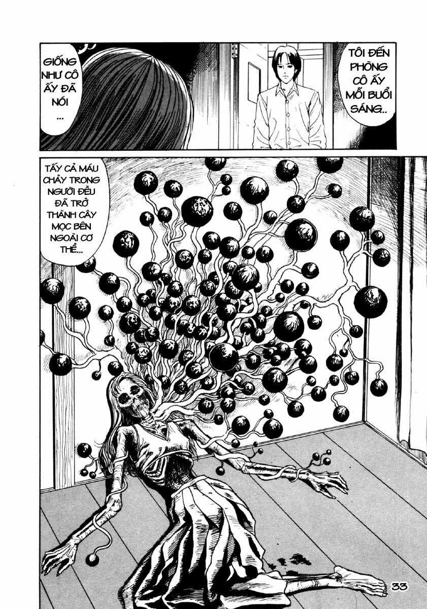 Tuyển Tập Truyện Ngắn Kinh Dị Của Ito Junji Chapter 24 trang 34