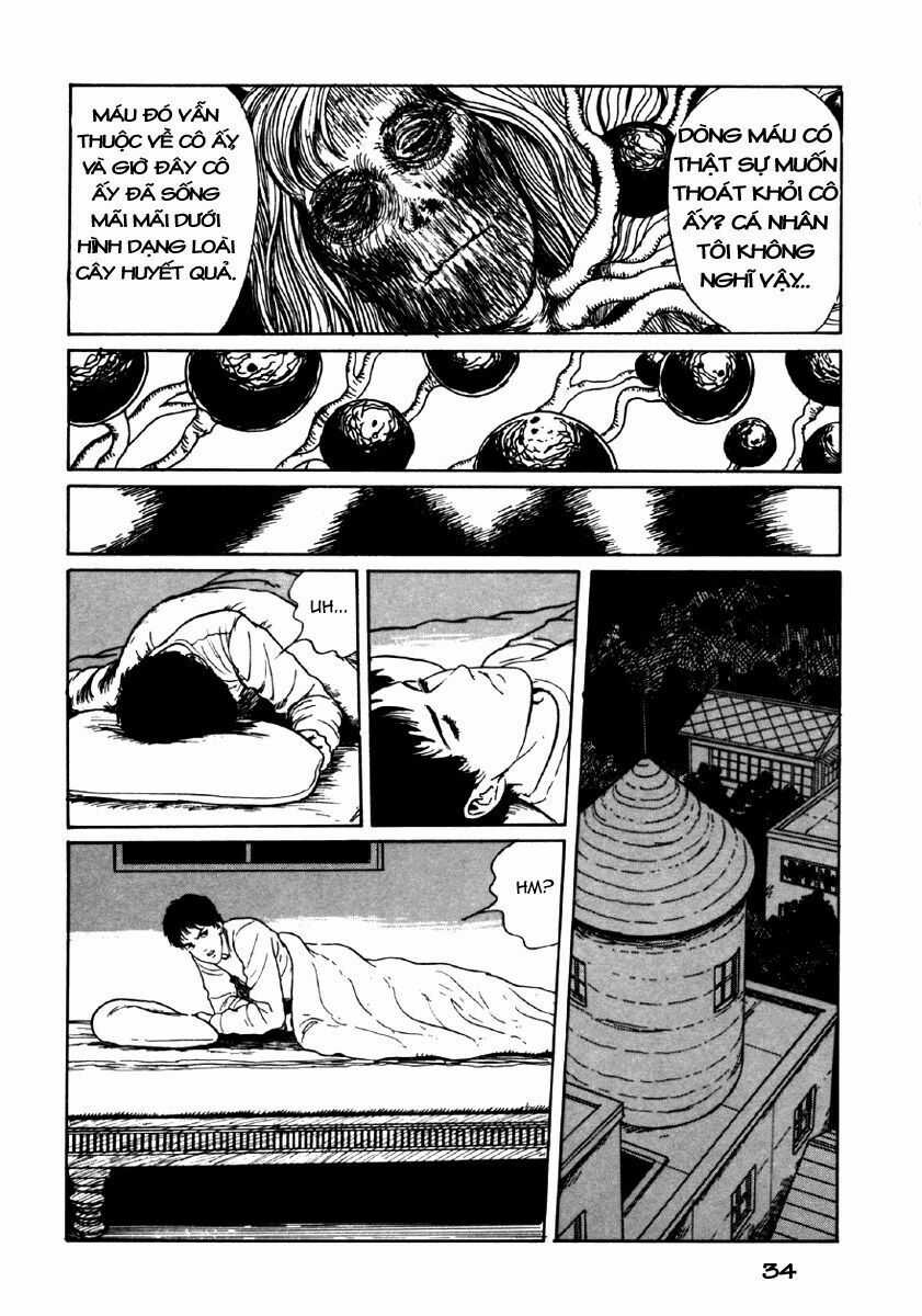 Tuyển Tập Truyện Ngắn Kinh Dị Của Ito Junji Chapter 24 trang 35