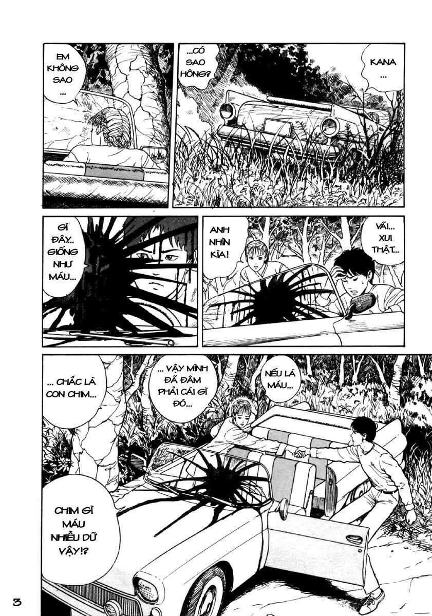 Tuyển Tập Truyện Ngắn Kinh Dị Của Ito Junji Chapter 24 trang 4