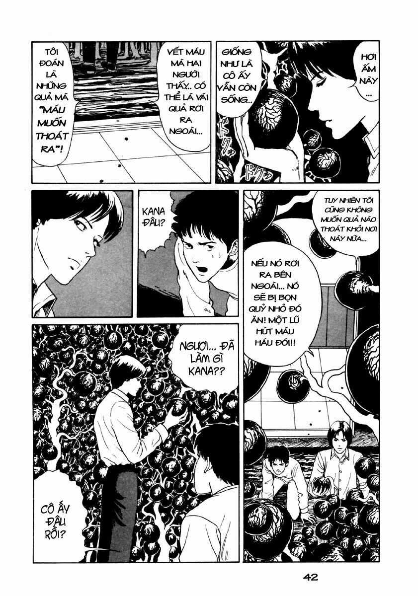 Tuyển Tập Truyện Ngắn Kinh Dị Của Ito Junji Chapter 24 trang 42