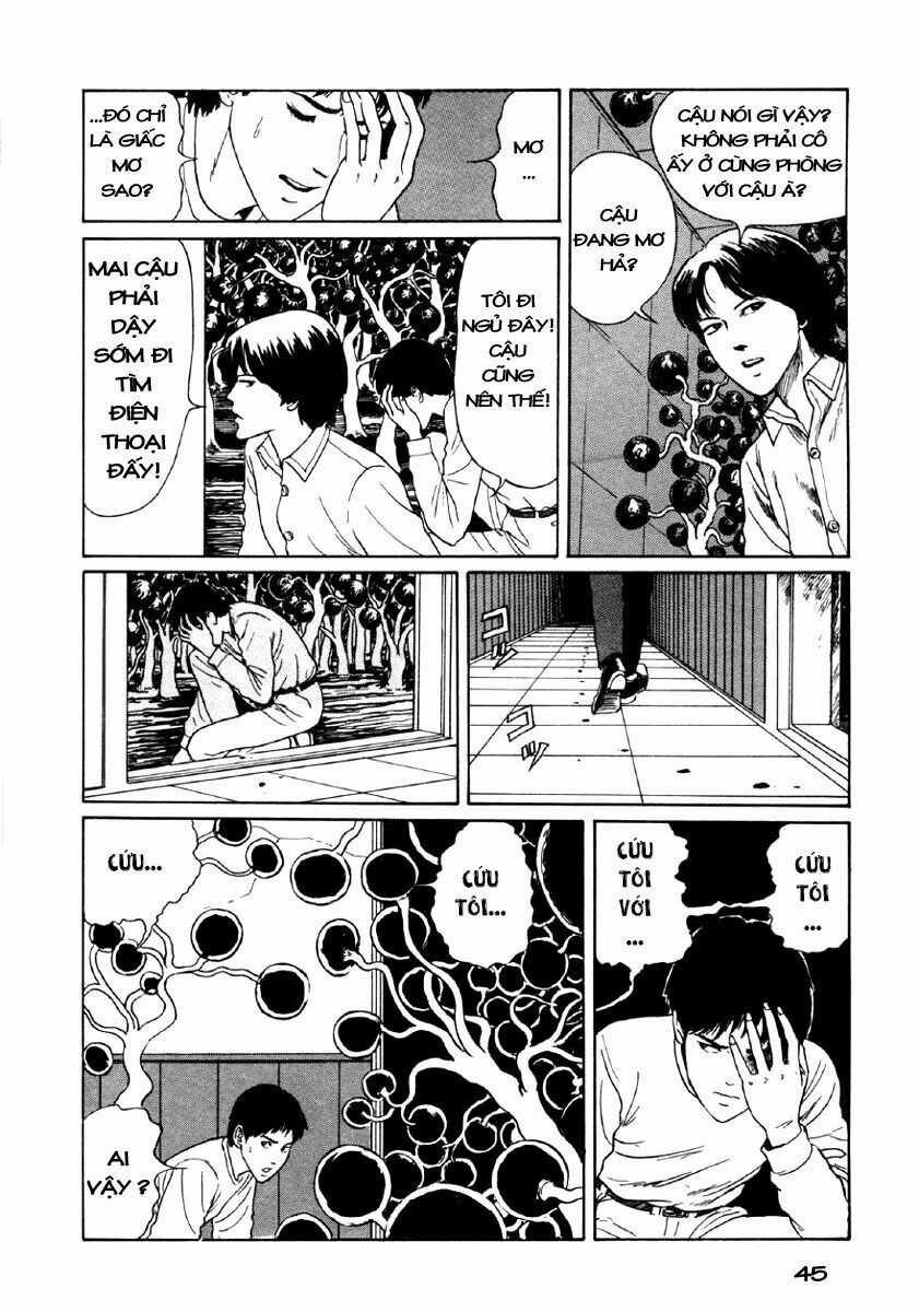 Tuyển Tập Truyện Ngắn Kinh Dị Của Ito Junji Chapter 24 trang 43