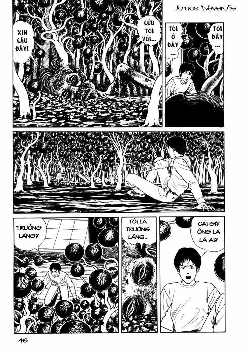 Tuyển Tập Truyện Ngắn Kinh Dị Của Ito Junji Chapter 24 trang 44