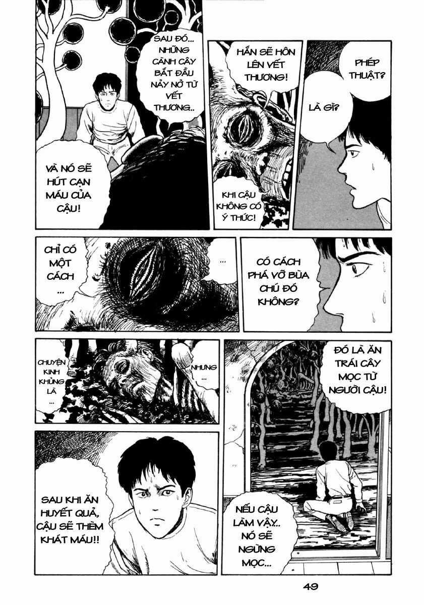 Tuyển Tập Truyện Ngắn Kinh Dị Của Ito Junji Chapter 24 trang 47