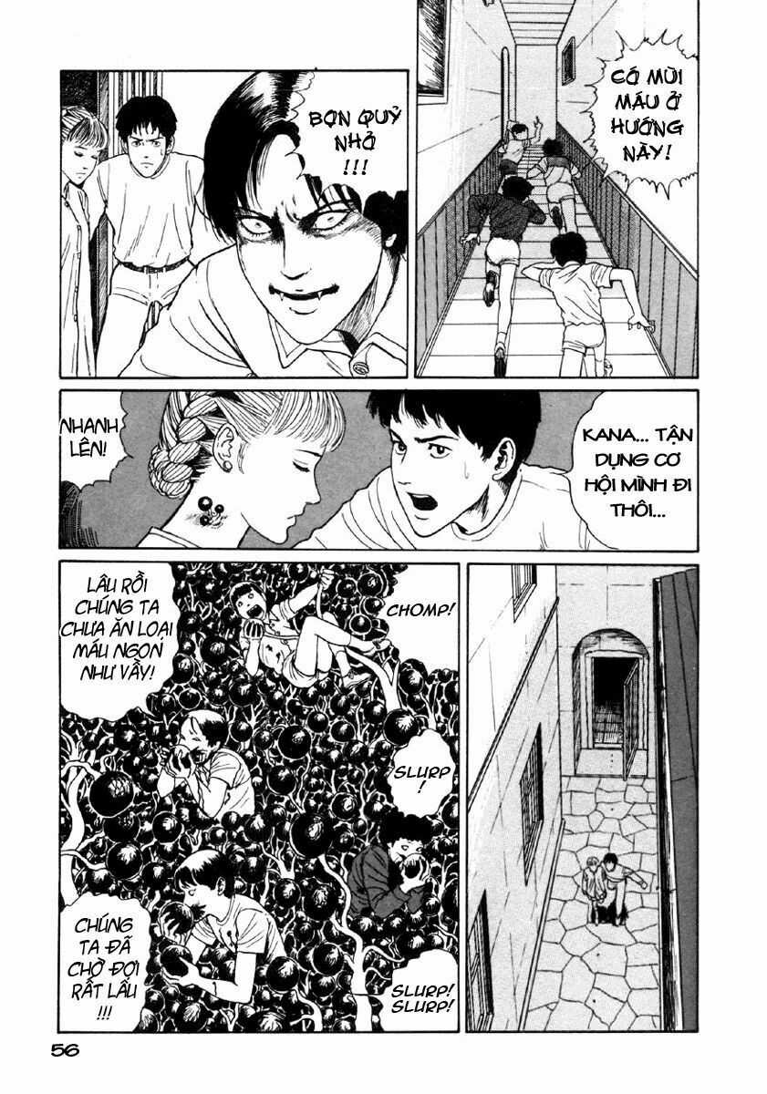 Tuyển Tập Truyện Ngắn Kinh Dị Của Ito Junji Chapter 24 trang 54