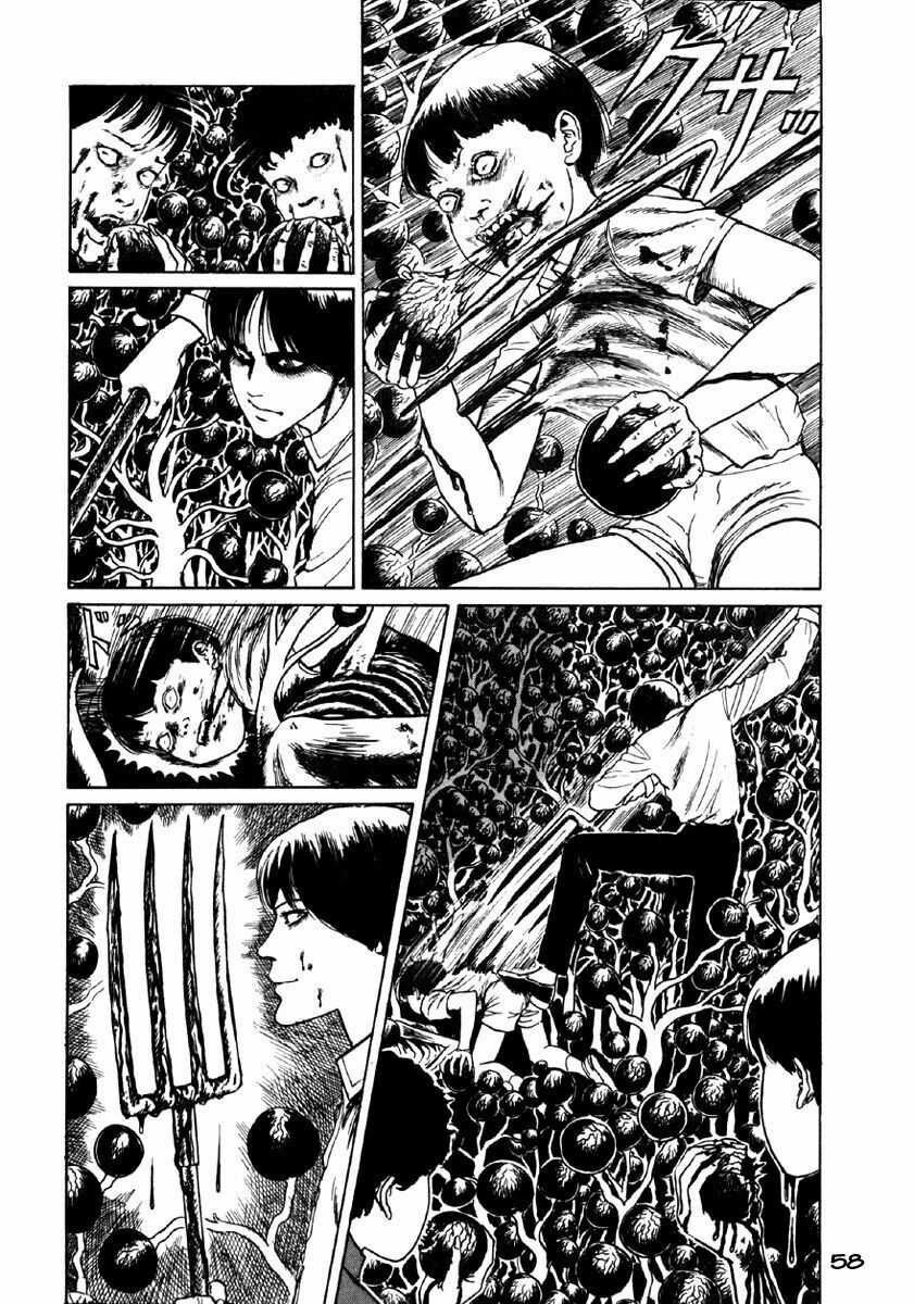 Tuyển Tập Truyện Ngắn Kinh Dị Của Ito Junji Chapter 24 trang 56