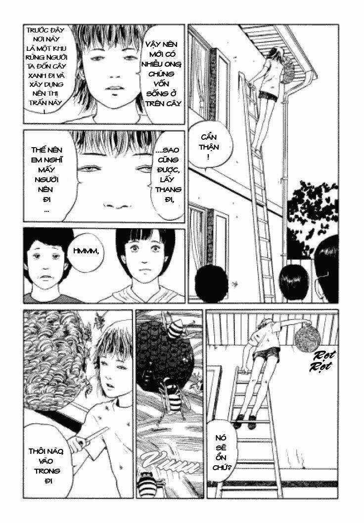 Tuyển Tập Truyện Ngắn Kinh Dị Của Ito Junji Chapter 3.3 trang 11