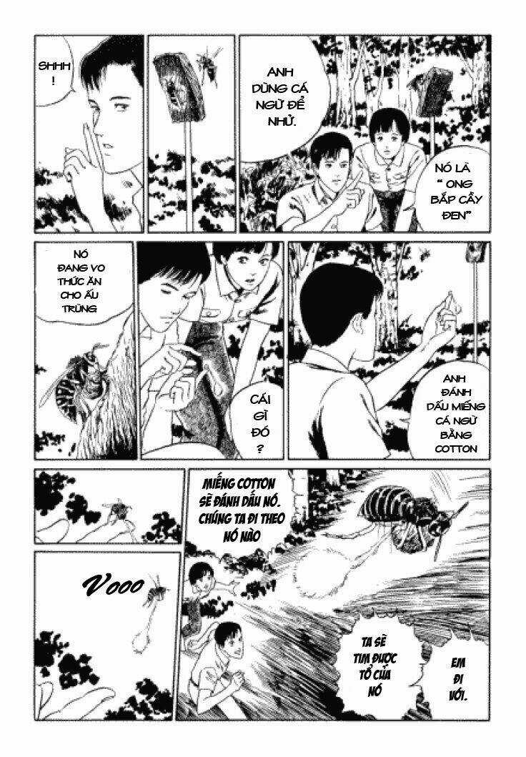 Tuyển Tập Truyện Ngắn Kinh Dị Của Ito Junji Chapter 3.3 trang 17