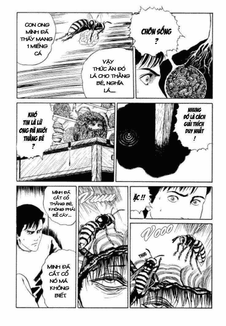 Tuyển Tập Truyện Ngắn Kinh Dị Của Ito Junji Chapter 3.3 trang 31