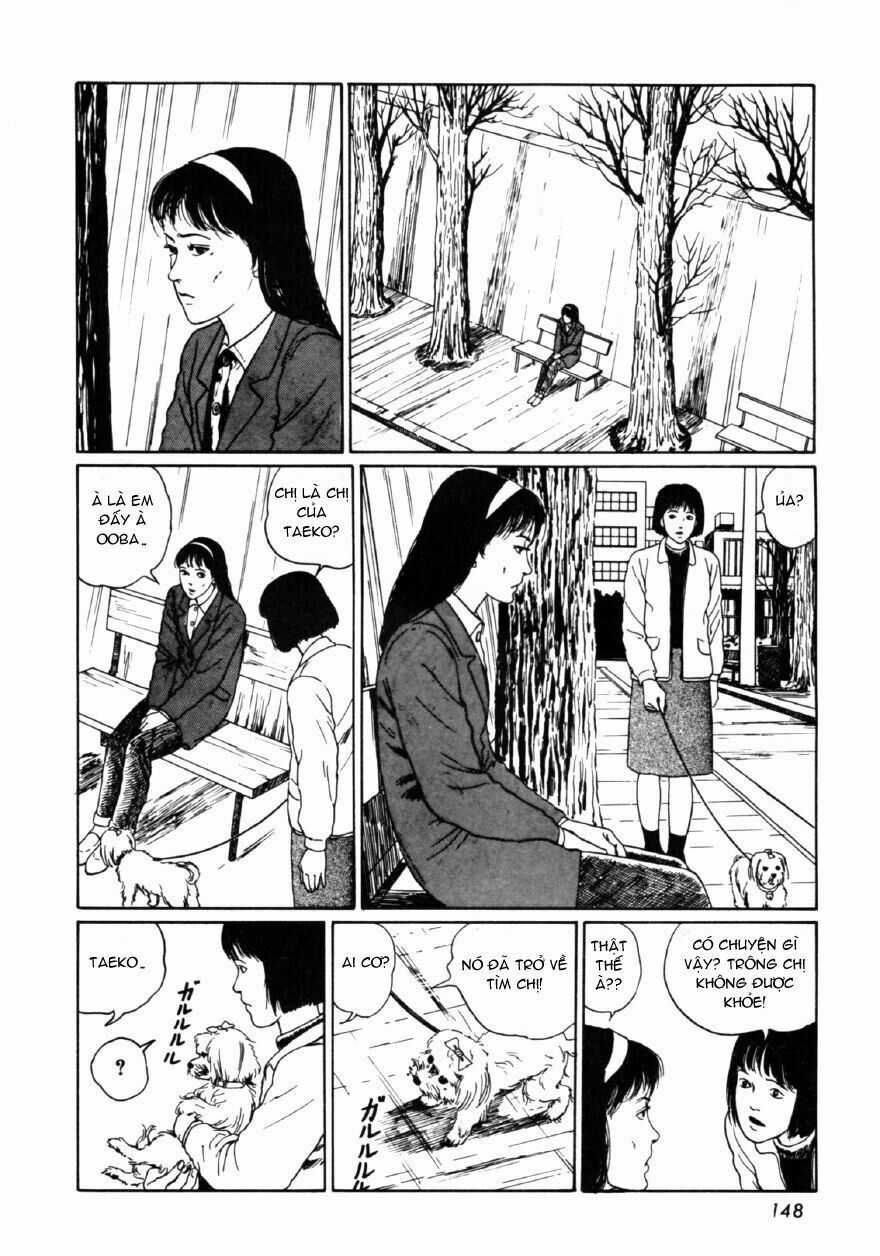 Tuyển Tập Truyện Ngắn Kinh Dị Của Ito Junji Chapter 46 trang 24