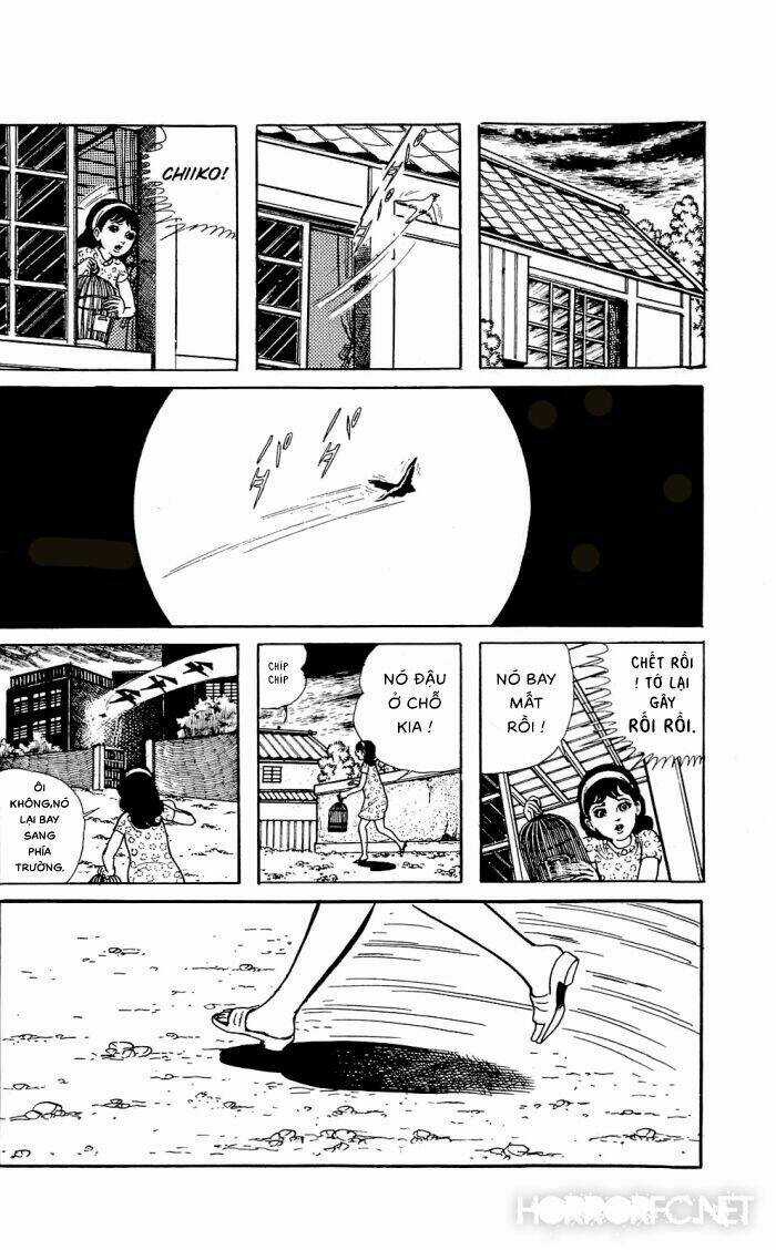 Tuyển tập truyện ngắn kinh dị Chapter 3 trang 2