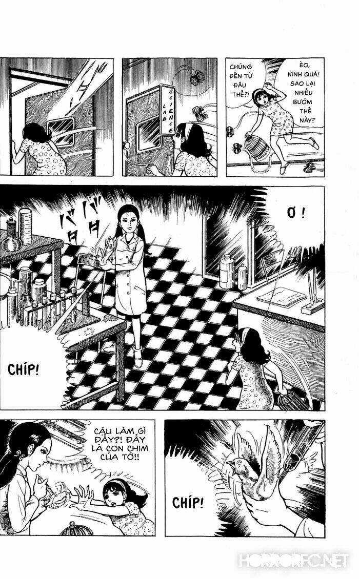 Tuyển tập truyện ngắn kinh dị Chapter 3 trang 4