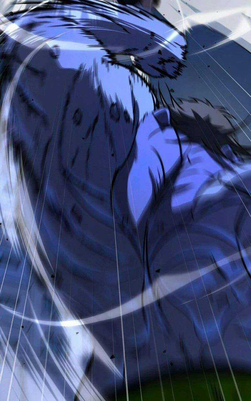 Tuyệt Đỉnh Anh Hùng Chapter 11 trang 11