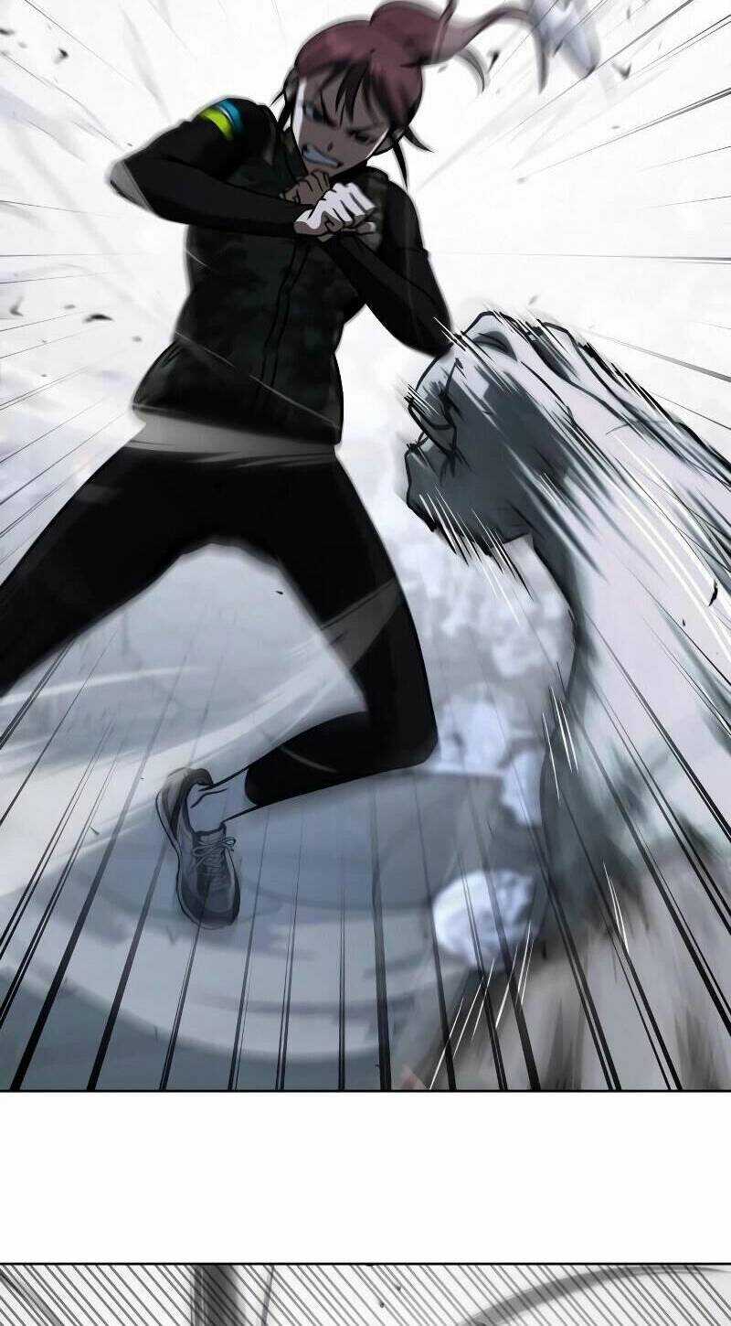 Tuyệt Đỉnh Anh Hùng Chapter 15 trang 19