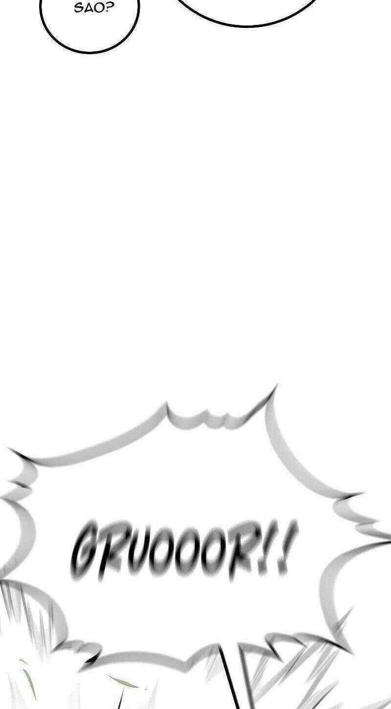 Tuyệt Đỉnh Anh Hùng Chapter 15 trang 36