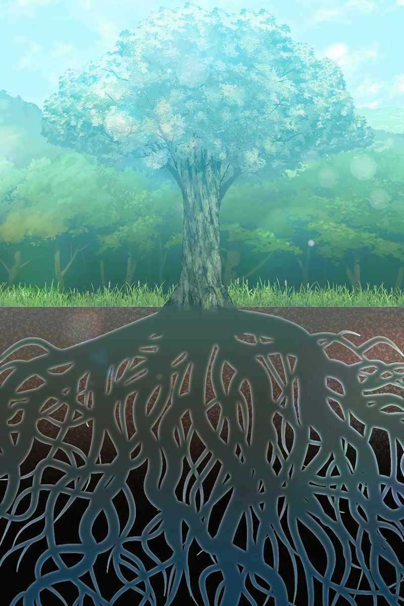 Tuyệt Đỉnh Võ Lâm Chapter 41 trang 24