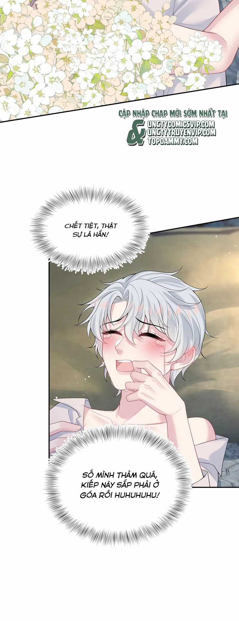 Tuyệt Mỹ Bạch Liên Hoa Online Dạy Học Chapter 325 trang 1